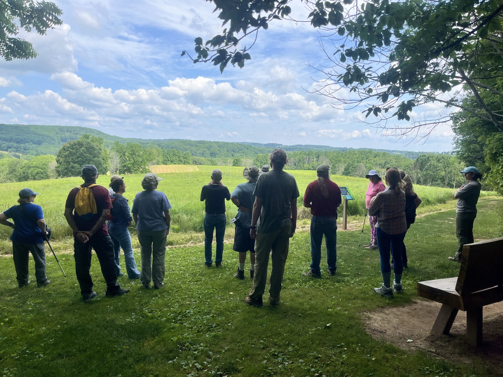 a group of people on a hillside looking out over a vista