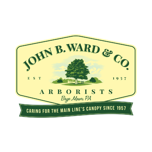 john b ward & co. logo