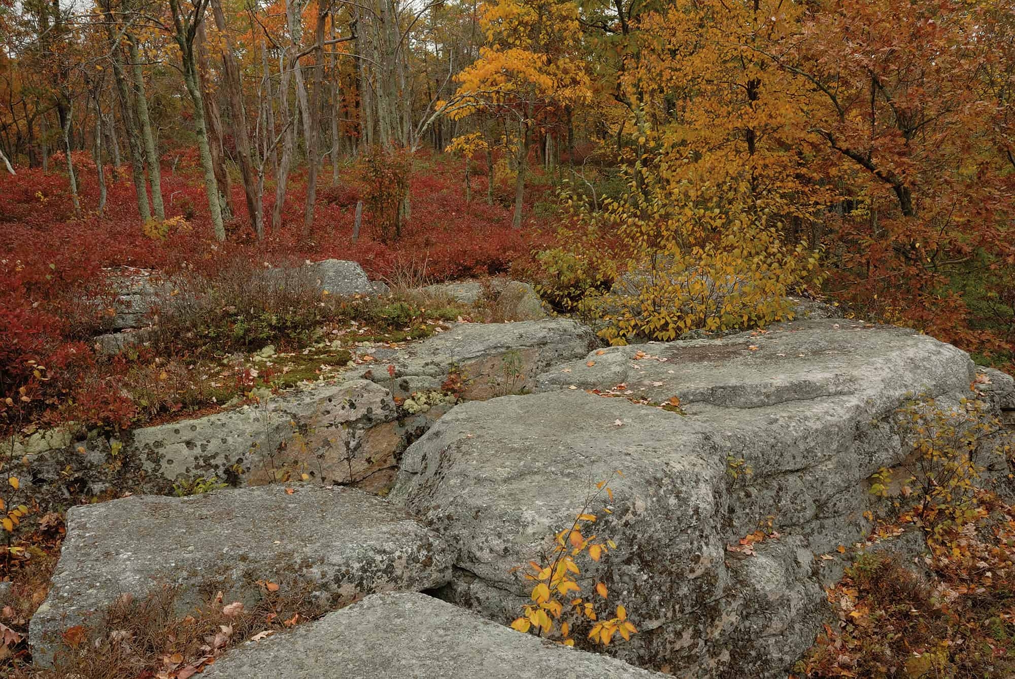 Large boulders in fall foliage