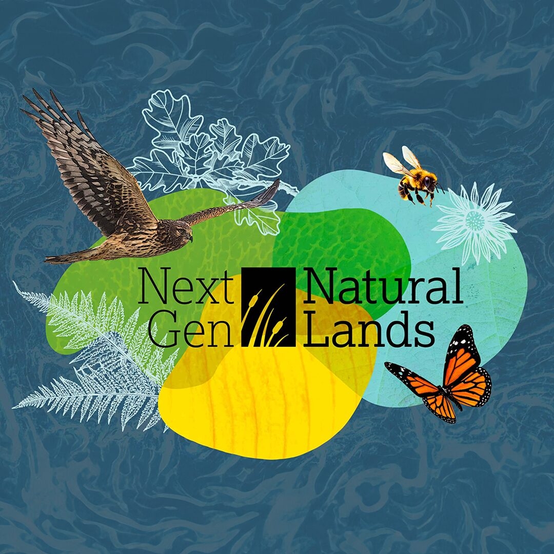 NextGen Council logo