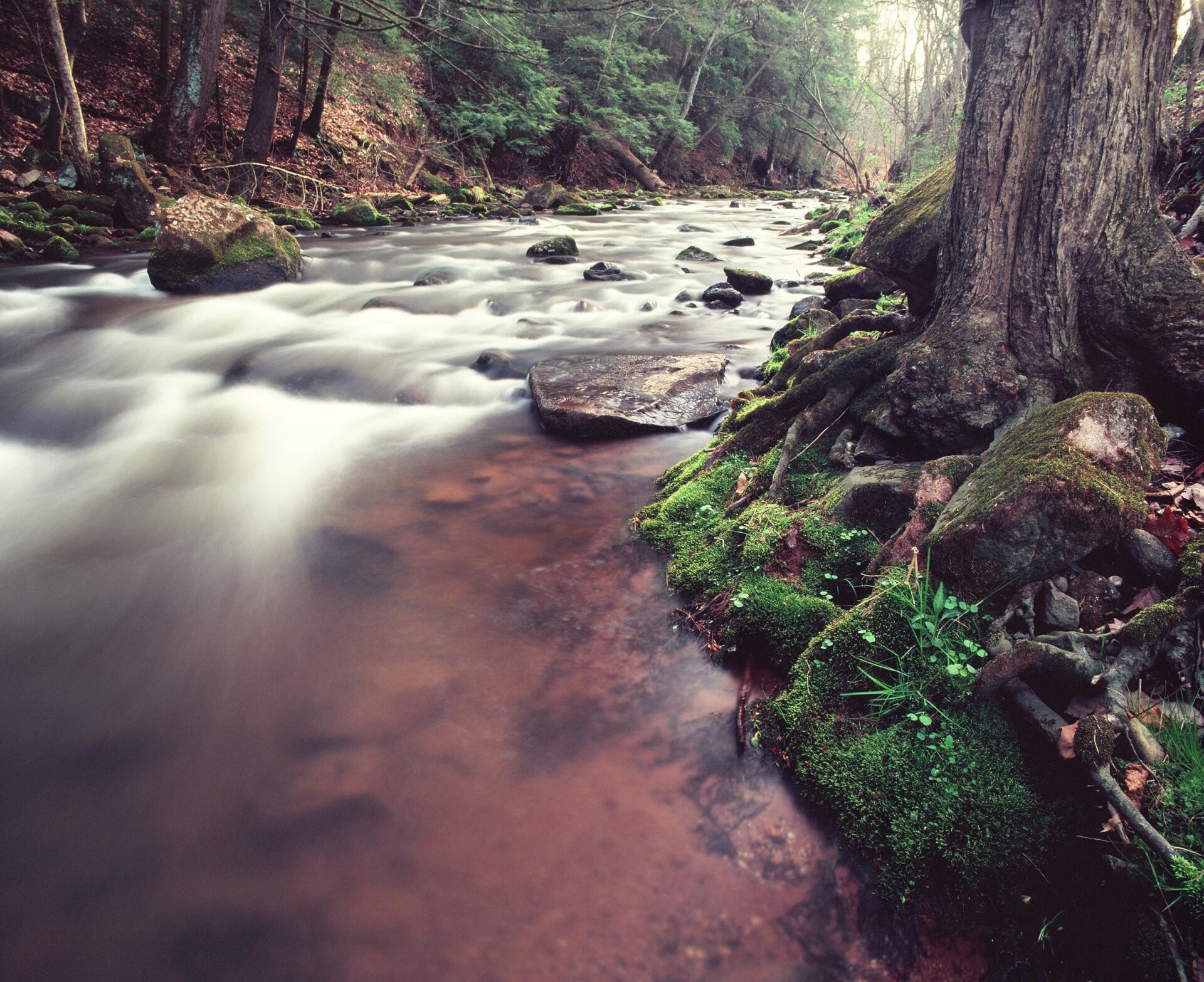 Photo depicts a rushing stream with boulders and trees along the edge using slow motion effects.