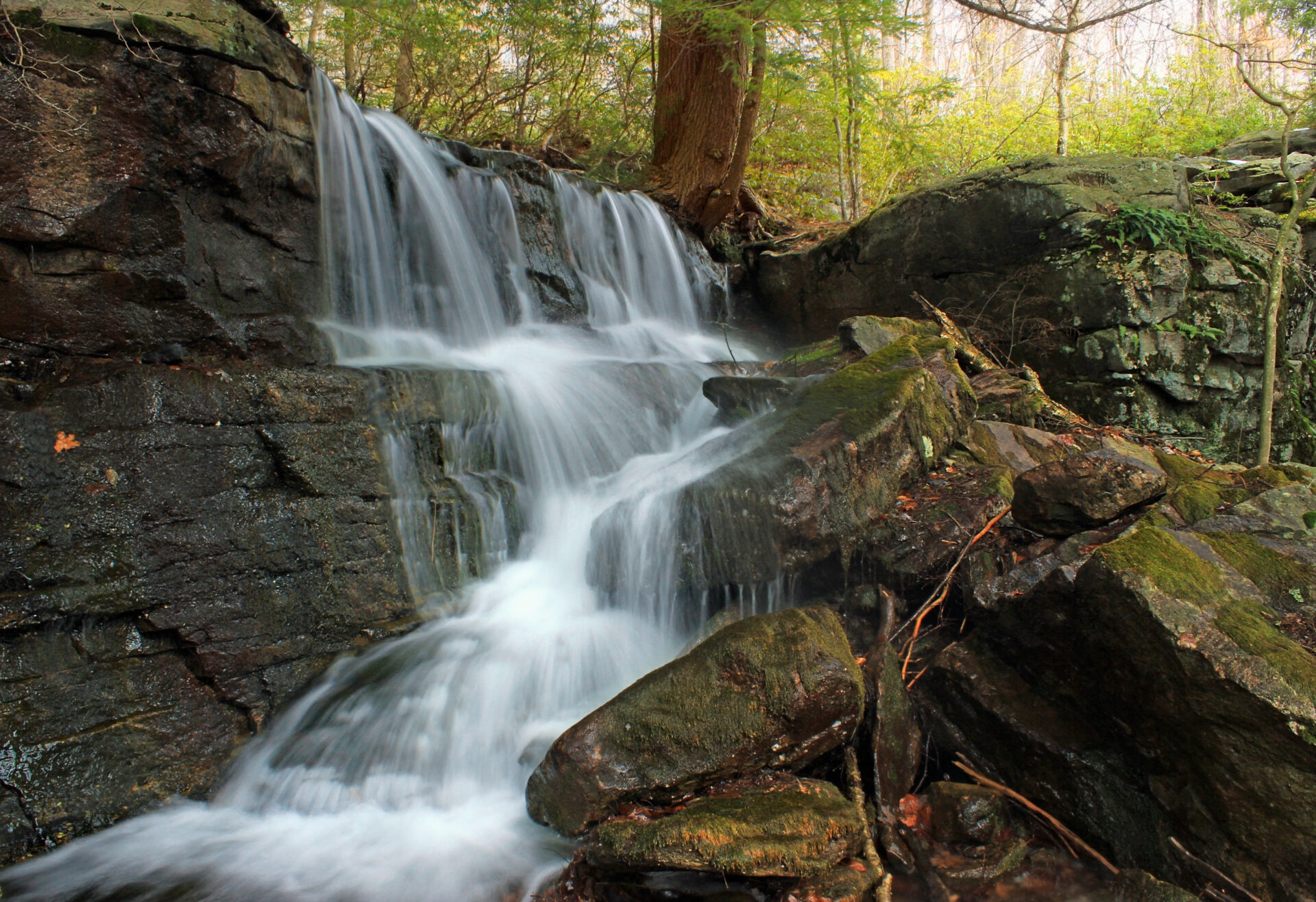 a small waterfall cascading down rocks in a forest - A tributary of water from Shades Creek cascading like a small waterfall over the rocks at Bear Creek Preserve in spring.
