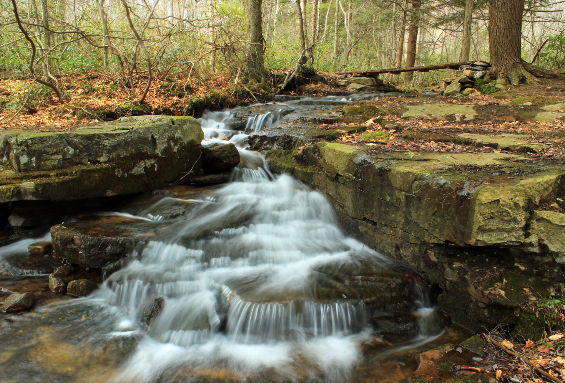 a small, misty waterfall going through rocks with the woods in the background - Water cascading through the rocks at Bear Creek Preserve in spring.
