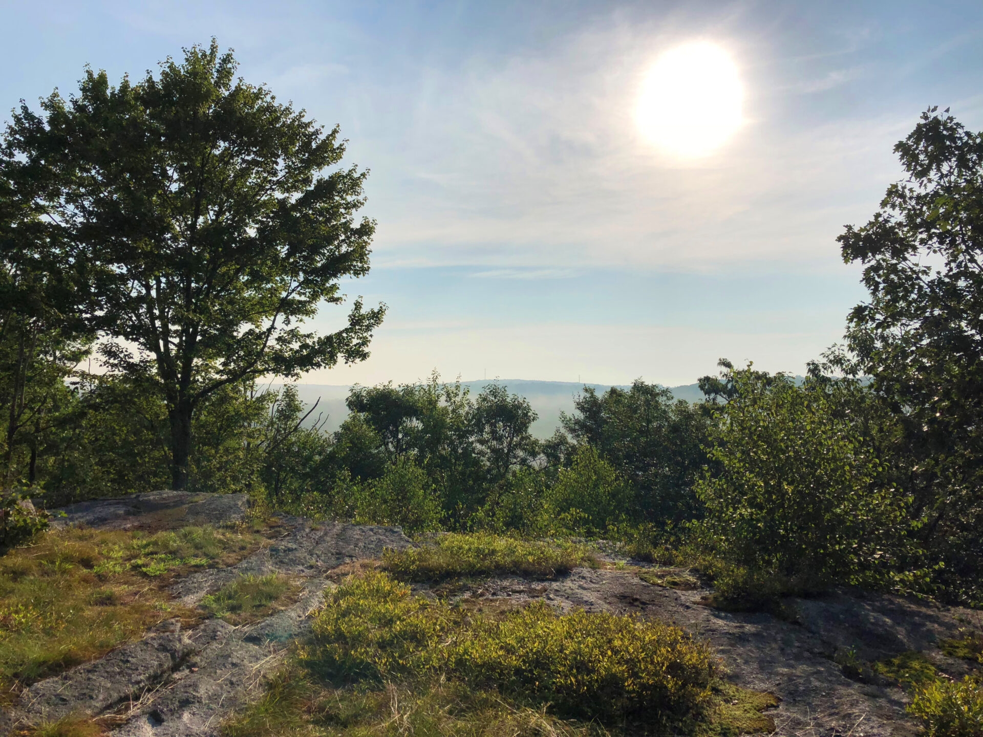 a rock precipice with shrubs and trees overlooking a low mountain with a bright sun - The sun shining brightly at an overlook at Bear Creek Preserve in summer. 
