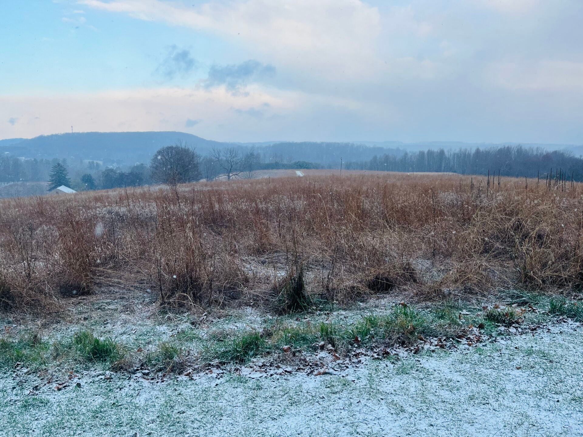 a meadow during a snow squall with a coating of snow on the ground - A view of the meadow during a brief snow squall at Binky Lee Preserve in winter.
