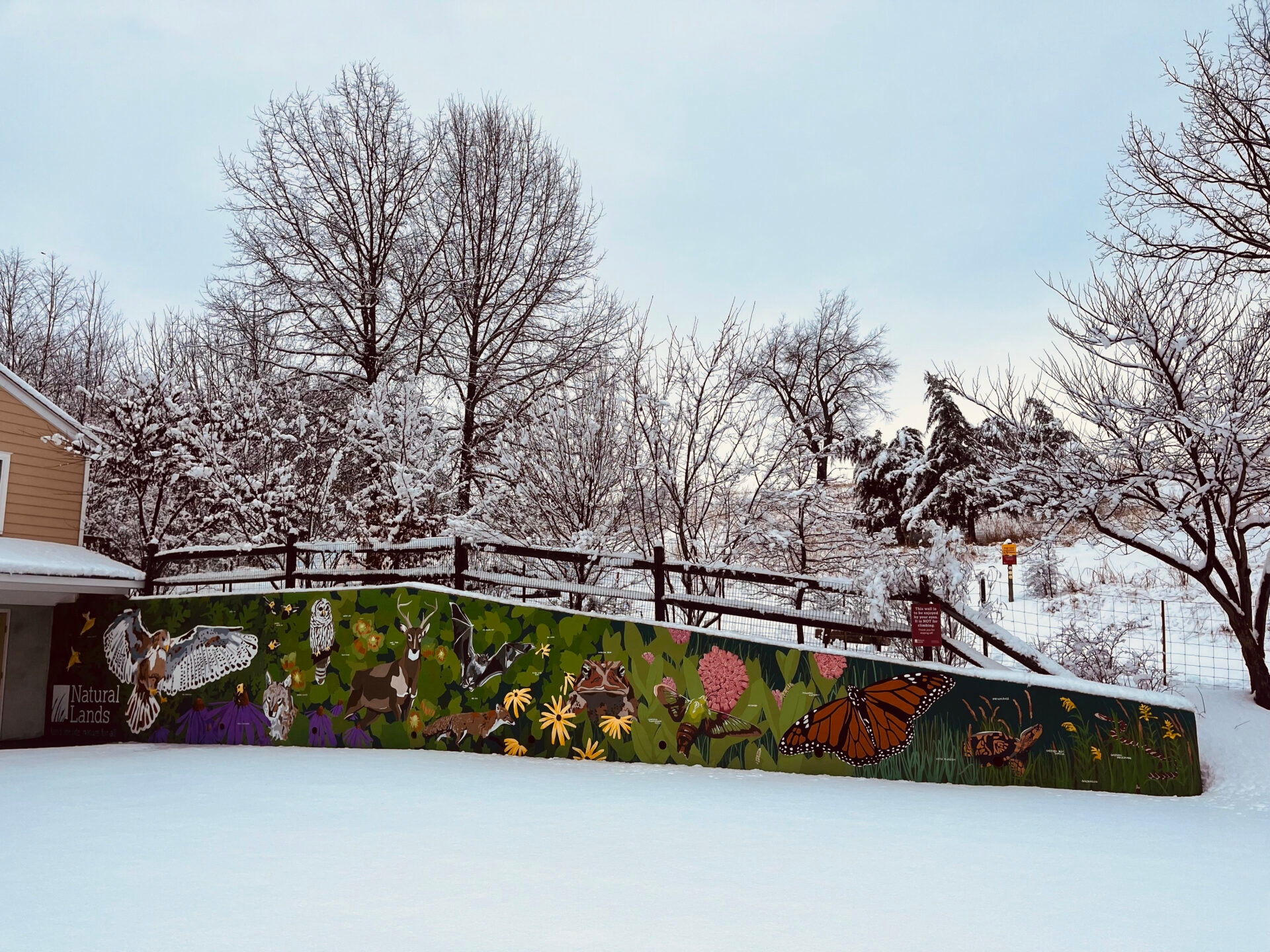 A snowy shot in winter of a wall with a mural by depicting wildlife - A snowy shot in winter of a mural by Sienna Proetto depicting wildlife seen at Binky Lee Preserve.
