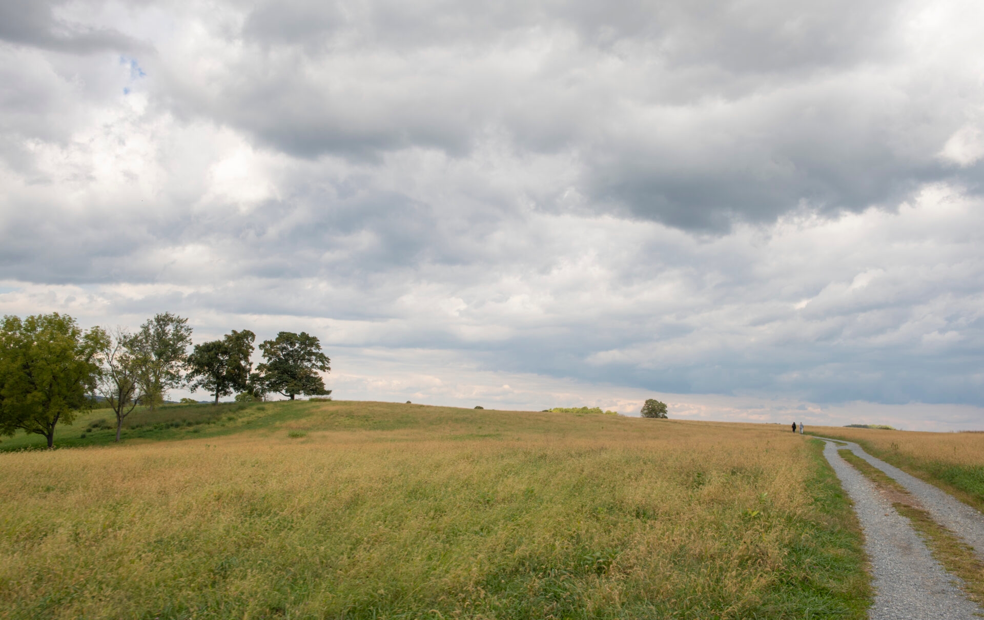 A vast field and gravel trail on a cloudy day - A vast field and gravel trail at ChesLen Preserve on a cloudy day in fall.
