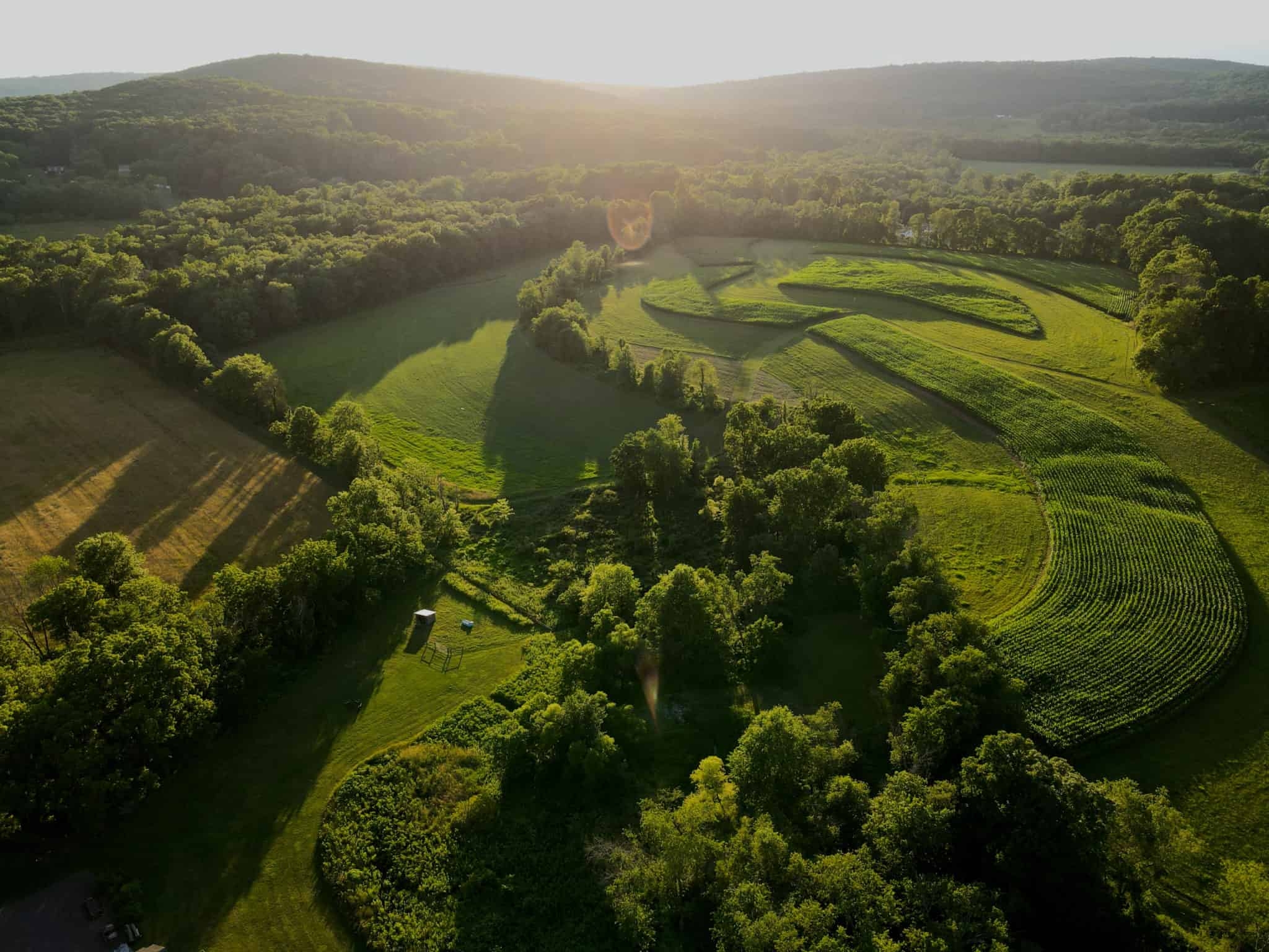 Photo by Dan Barringer
 - A drone photo of the trees and agricultural fields at Crow’s Nest Preserve as the sun sets in summer. 
