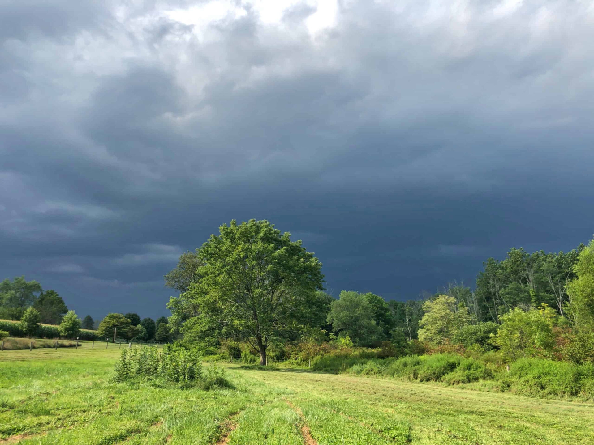 dark storm clouds over a green meadow bordered by trees - Dark storm clouds looming over a green meadow with a border of trees at Crow’s Nest Preserve in summer.
