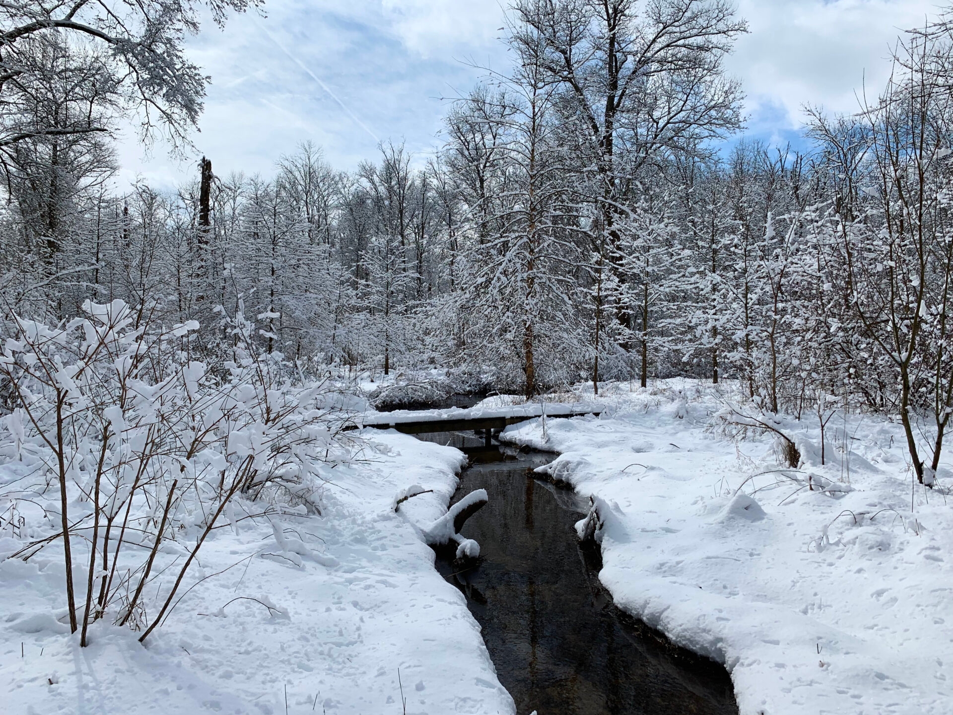 a snowy landscape with trees and a small stream - Crow’s Nest Preserve covered in snow in winter.
