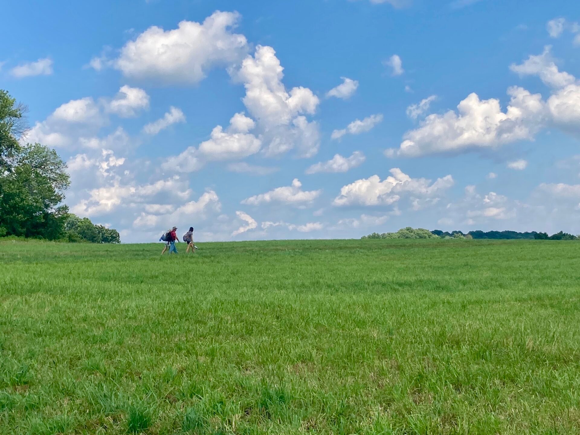 three people hiking along a trail through a green, grassy area with a blue sky and fluffy, white clouds - People hiking a trail through a grassy area with a blue sky and white fluffy clouds at Crow’s Nest Preserve in summer. 
