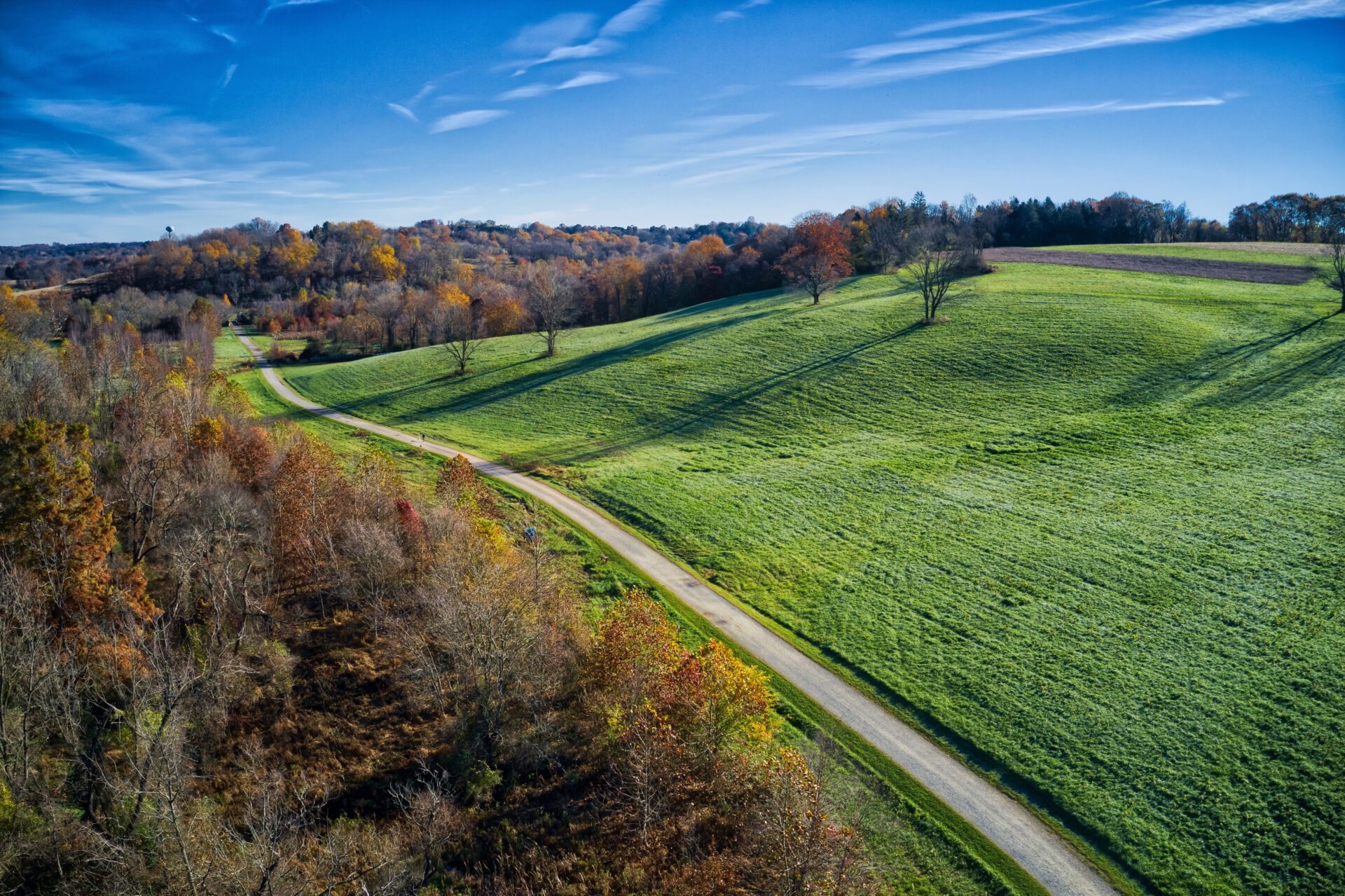 an aerial view of a gravel path with green lawn and fall-colored trees - An autumn aerial view of the path at Stroud Preserve taken from a drone. 
