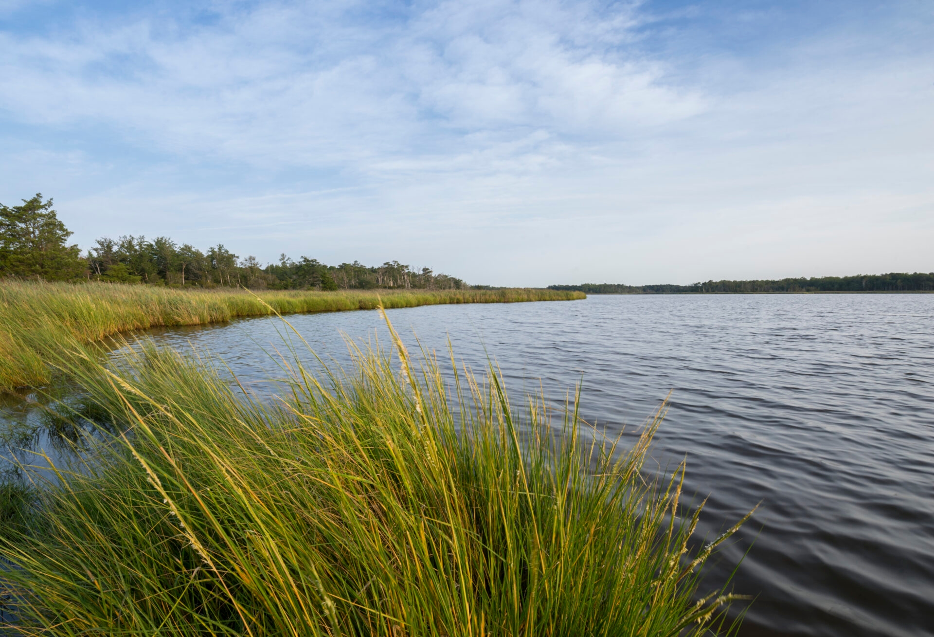 Photo by Dave Blinder
 - The wetlands at Glades Wildlife Refuge in summer with a blue sky.
