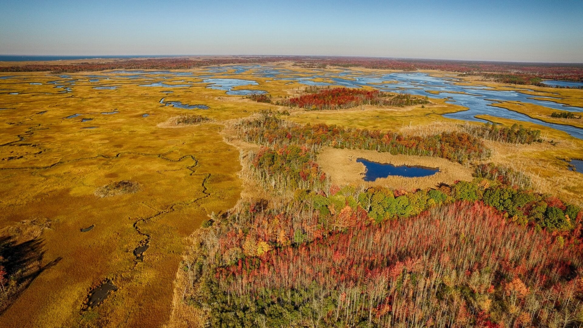 an aerial view of wetlands and some trees with fall color - A drone view of the wetlands of Glades Wildlife Refuge in fall.
