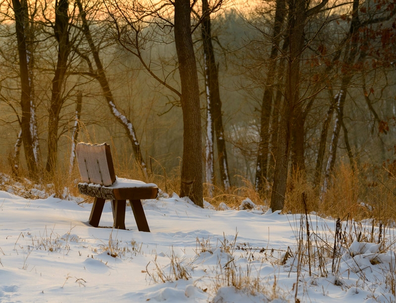 a bench with snow on it and snow on the ground with a sunset peaking through the trees - A snow-covered bench at sunset in winter at Hildacy Preserve.
