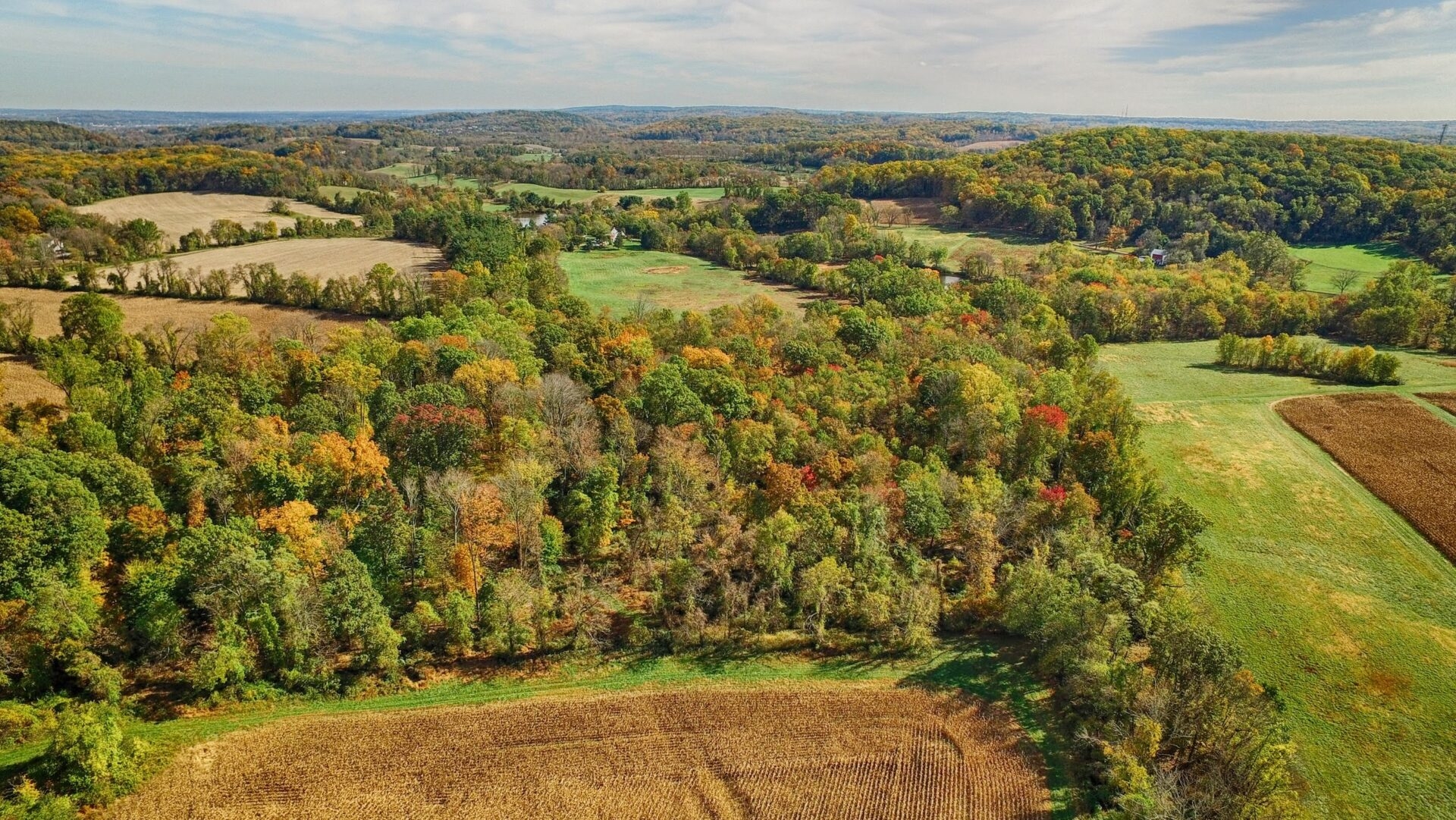 an aerial view of a vast landscape of trees with fall color and brown and green agricultural fields