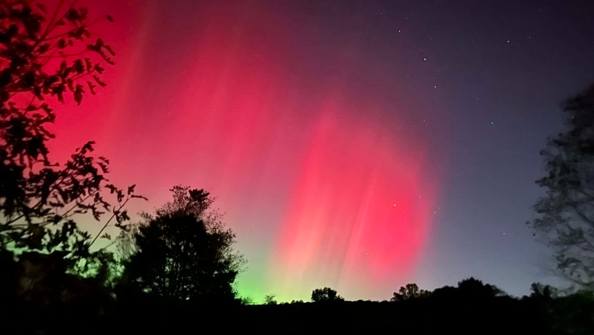 The Aurora borealis above some trees.