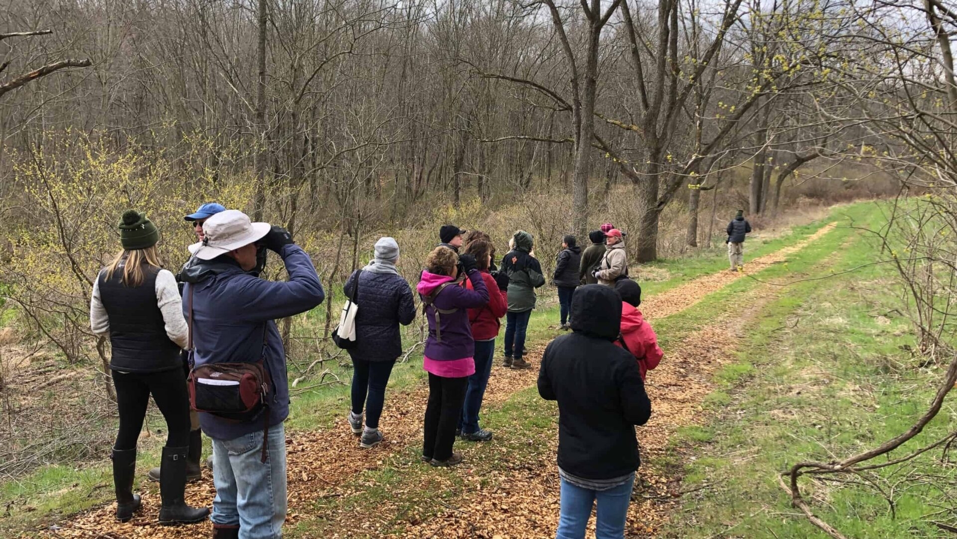 A group of people with binoculars birdwatching on a woodland trail