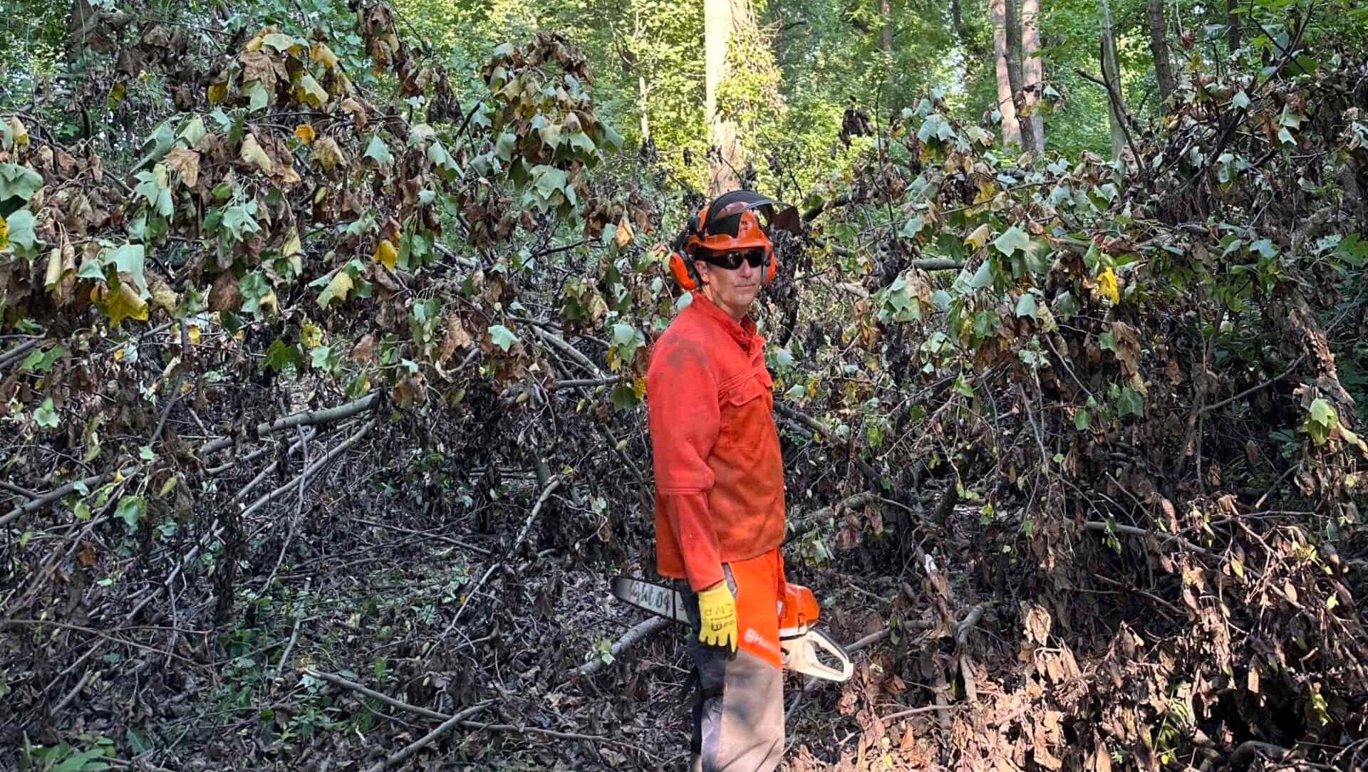 Man in red protective gear clearing a trail of downed trees with a chainsaw.