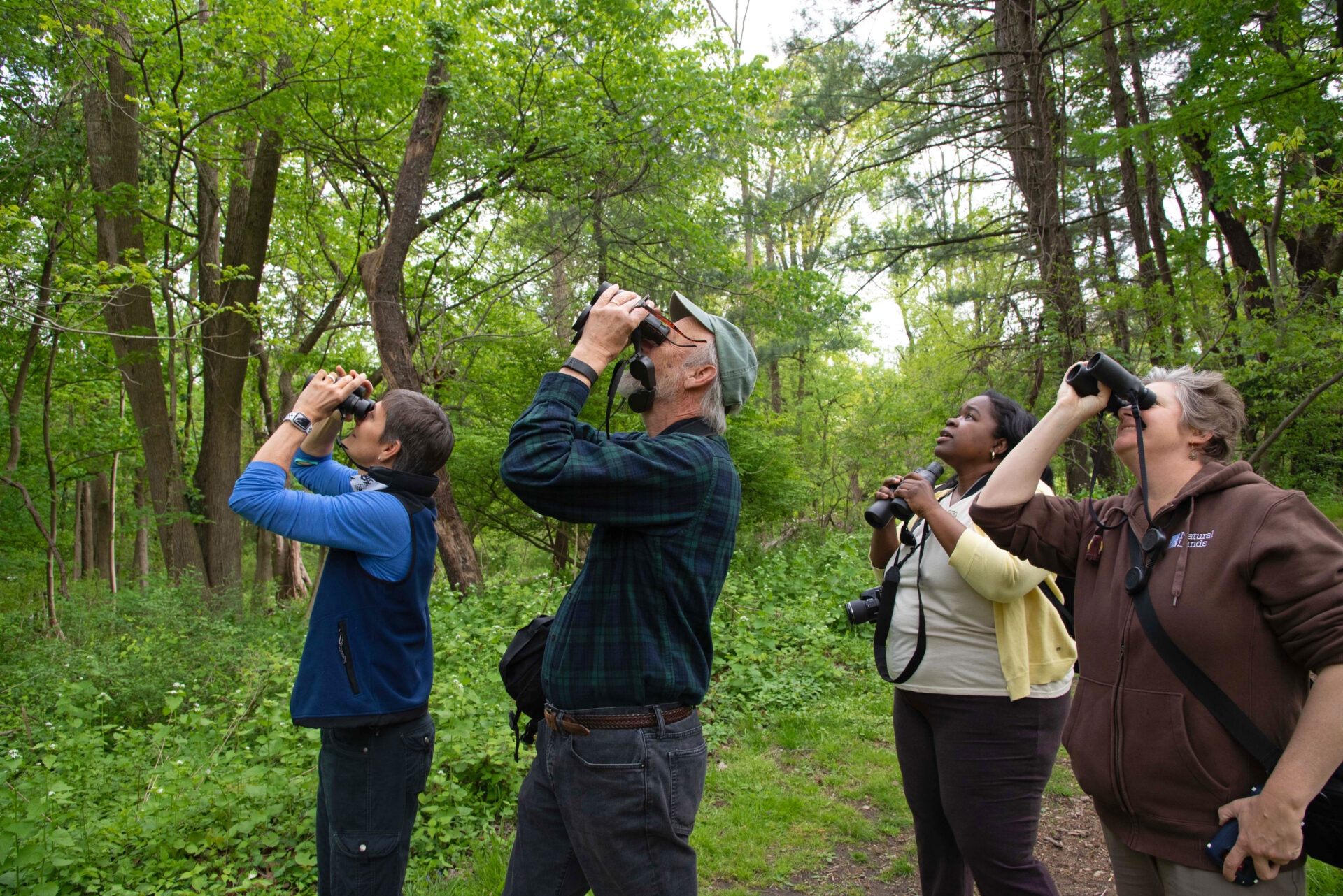 Photo by Virginia Apostolacus
 - A group of people birding at Saunders Woods Preserve in spring.
