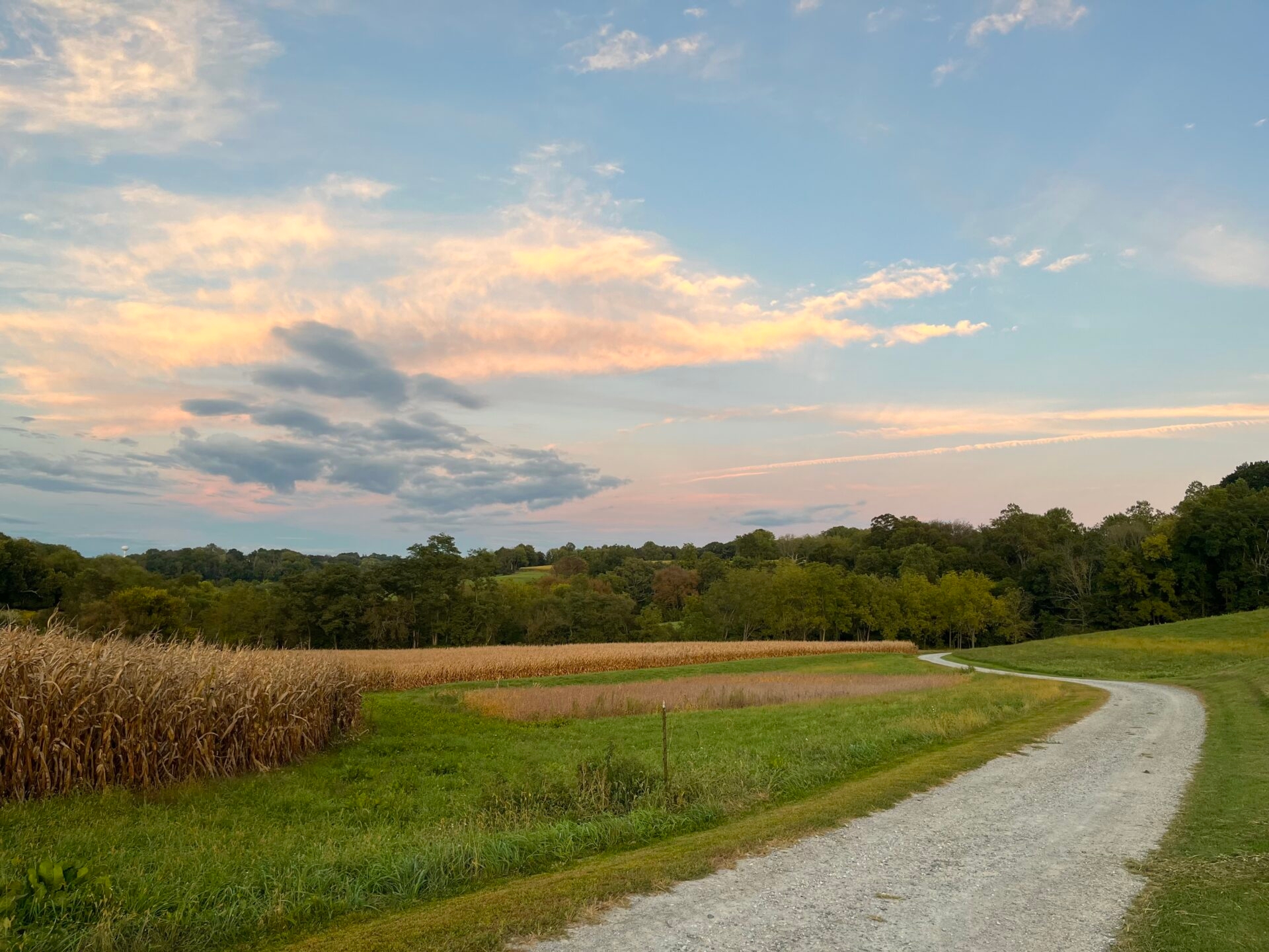 a gravel road with a field of brown cornstalks and rolling hills with trees at sunset - Brown cornstalks and trees on rolling hills as the sun sets along the gravel trail at Stroud Preserve in fall.
