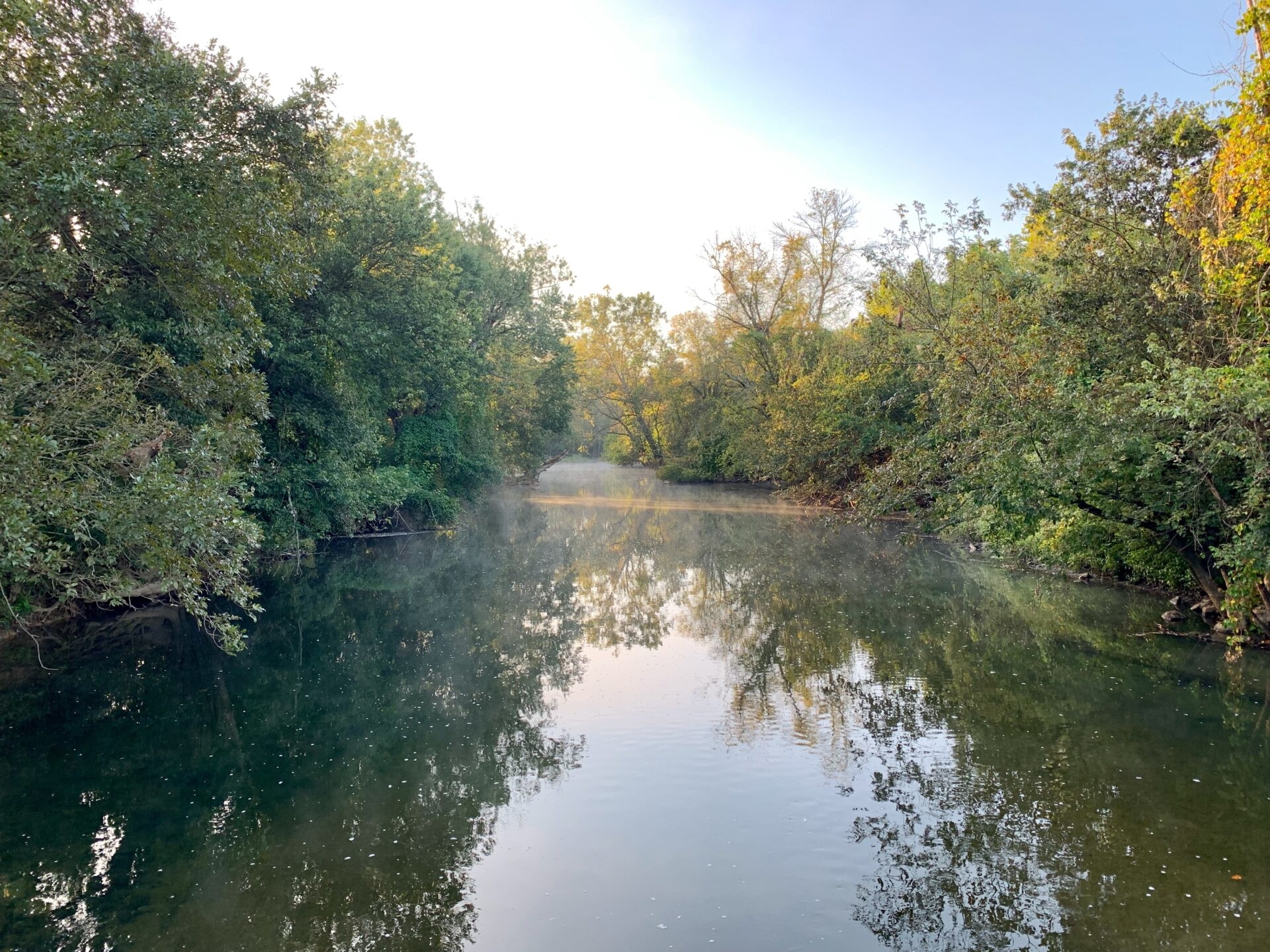 a creek bordered by trees on both sides - East Branch Brandywine Creek meandering through Stroud Preserve in late summer.
