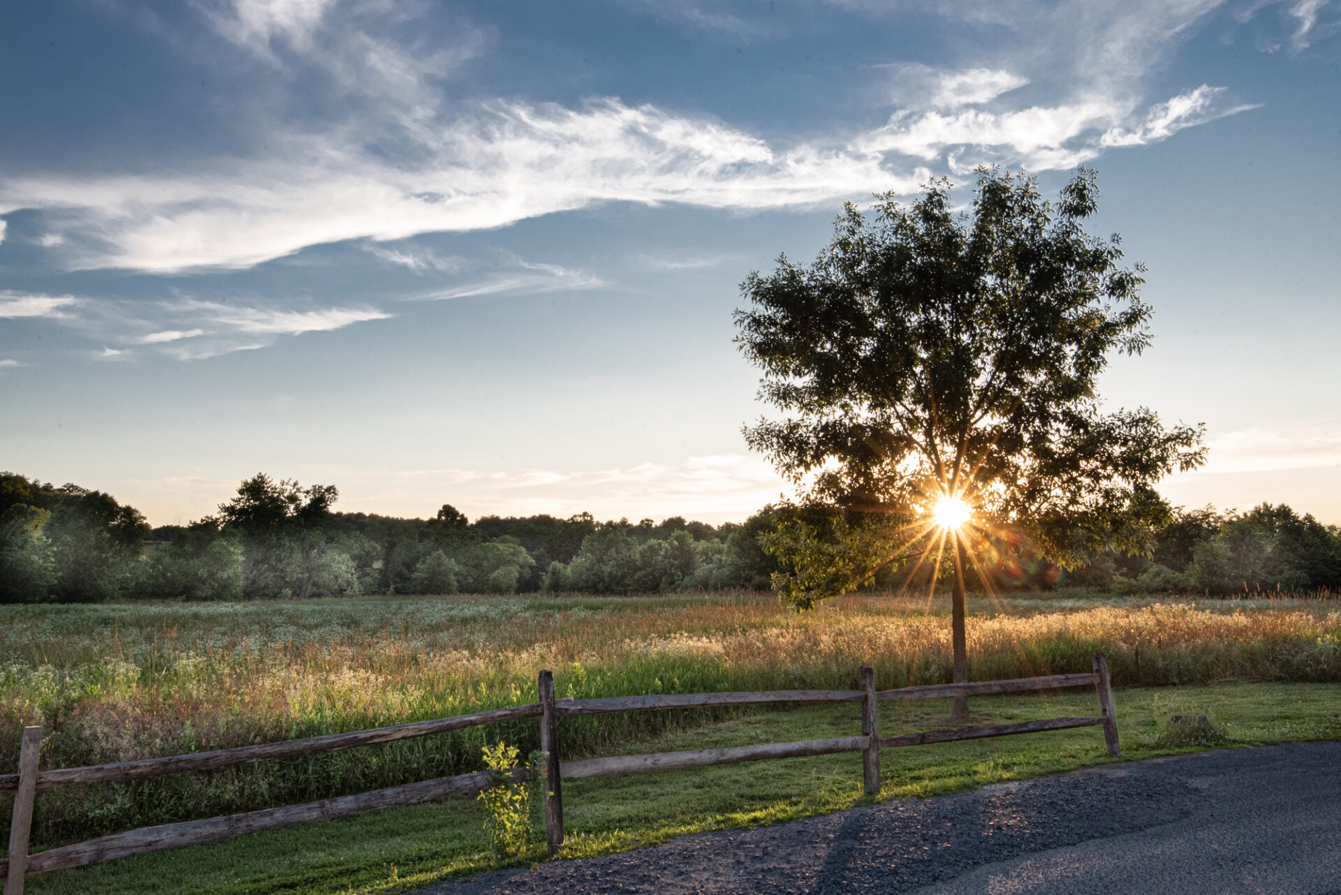 a fence, meadow, and small tree with the sun peaking out of the branches - A fence, meadow, and the sun peaking through a small tree at sunset at Stroud Preserve in summer. 
