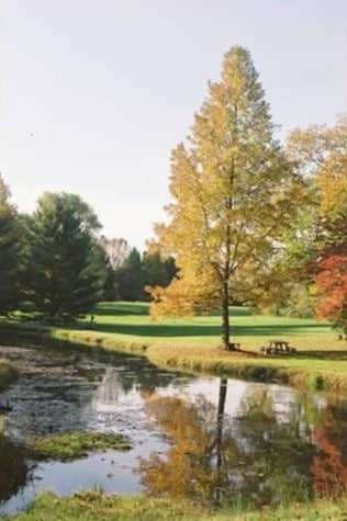 A placid pond with a tall tree in the distance. Underneath the tree is a picnic table.