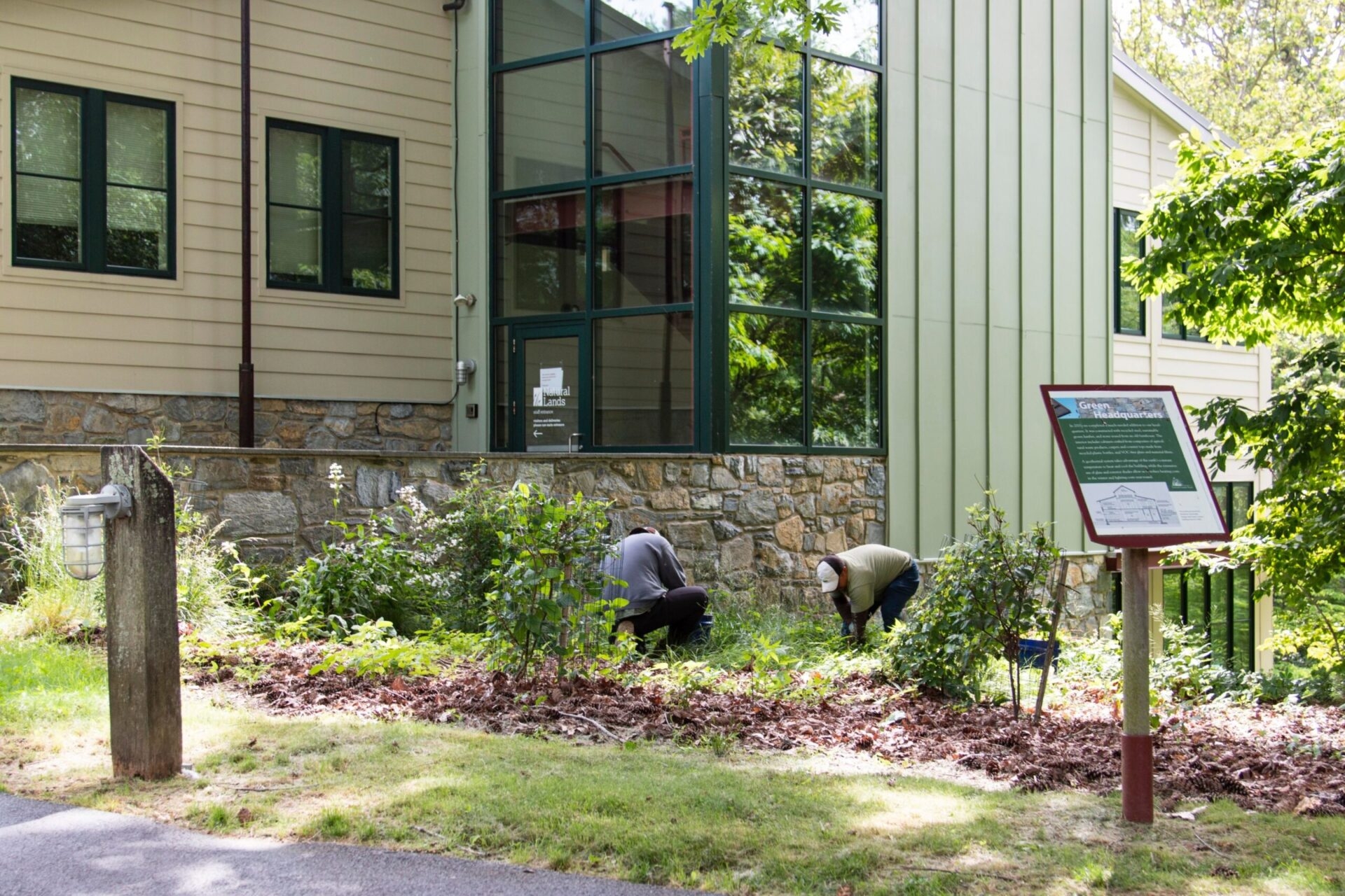 Garden workers on their knees cleaning up a bed near a building