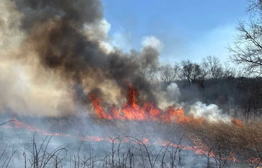 Prescribed fire burning grasslands