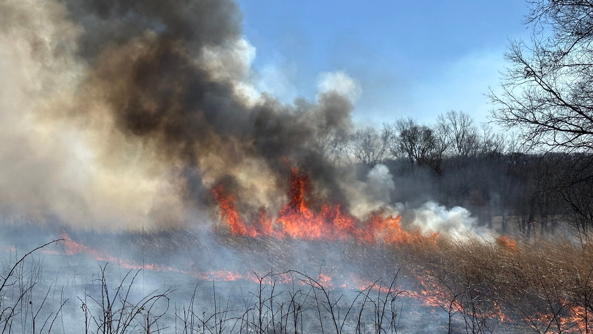 Prescribed fire burning grasslands