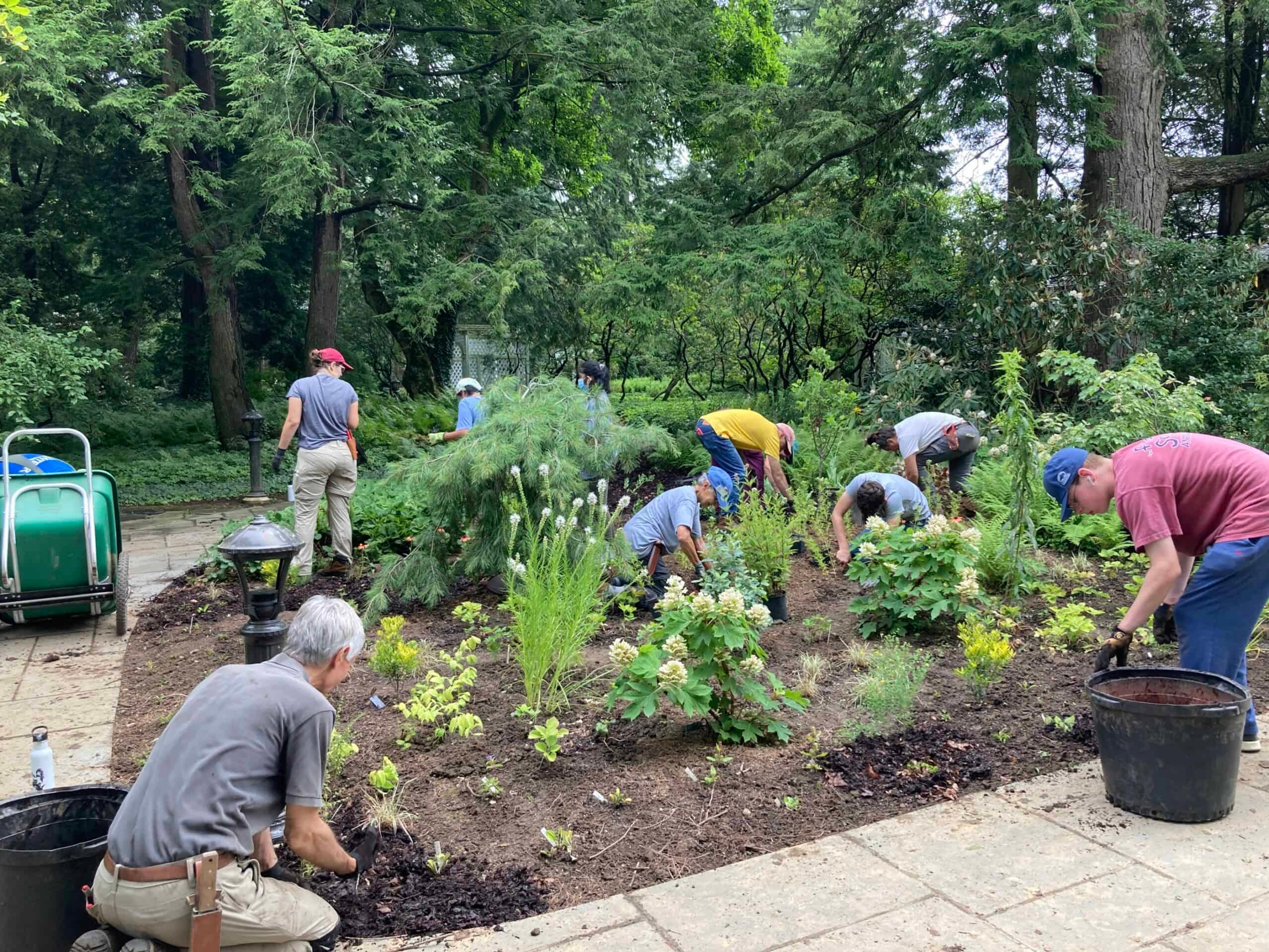 a group of volunteers planting new plants in a botanical garden