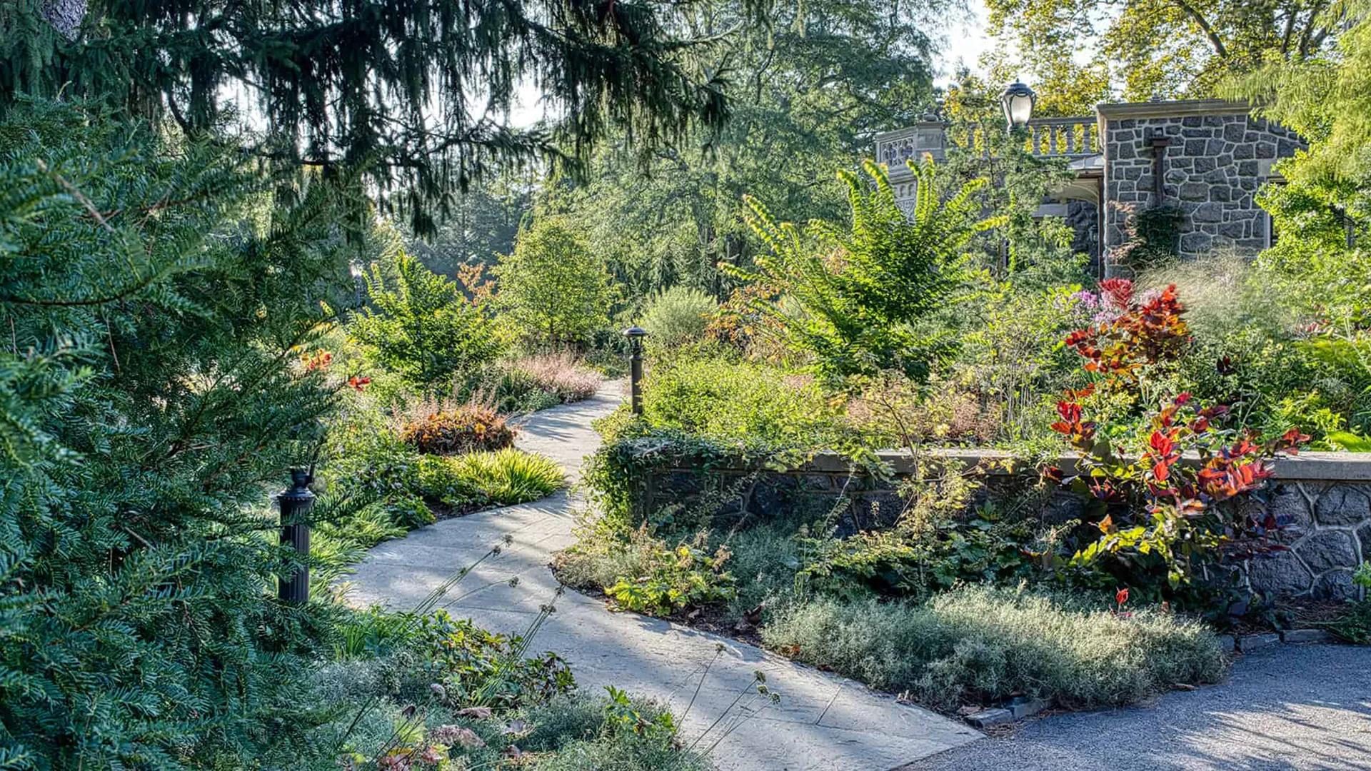 a garden framed by evergreen tree with stone building in the background