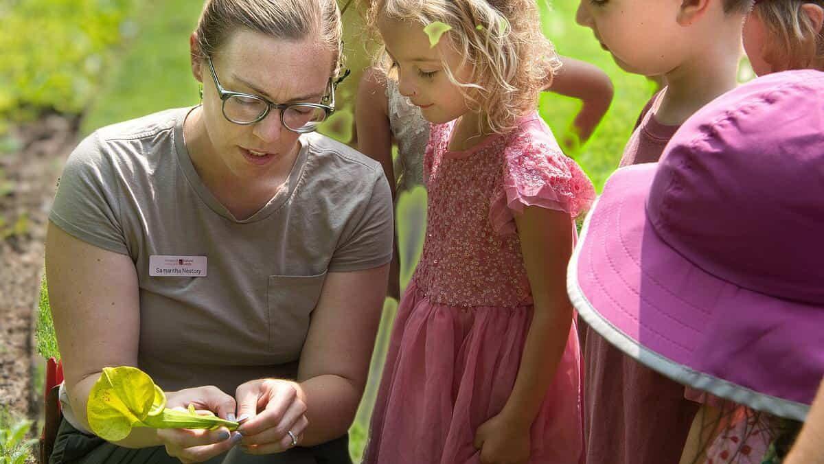 a group of kids huddle around an engagement staff holding a leaf and showing insects.