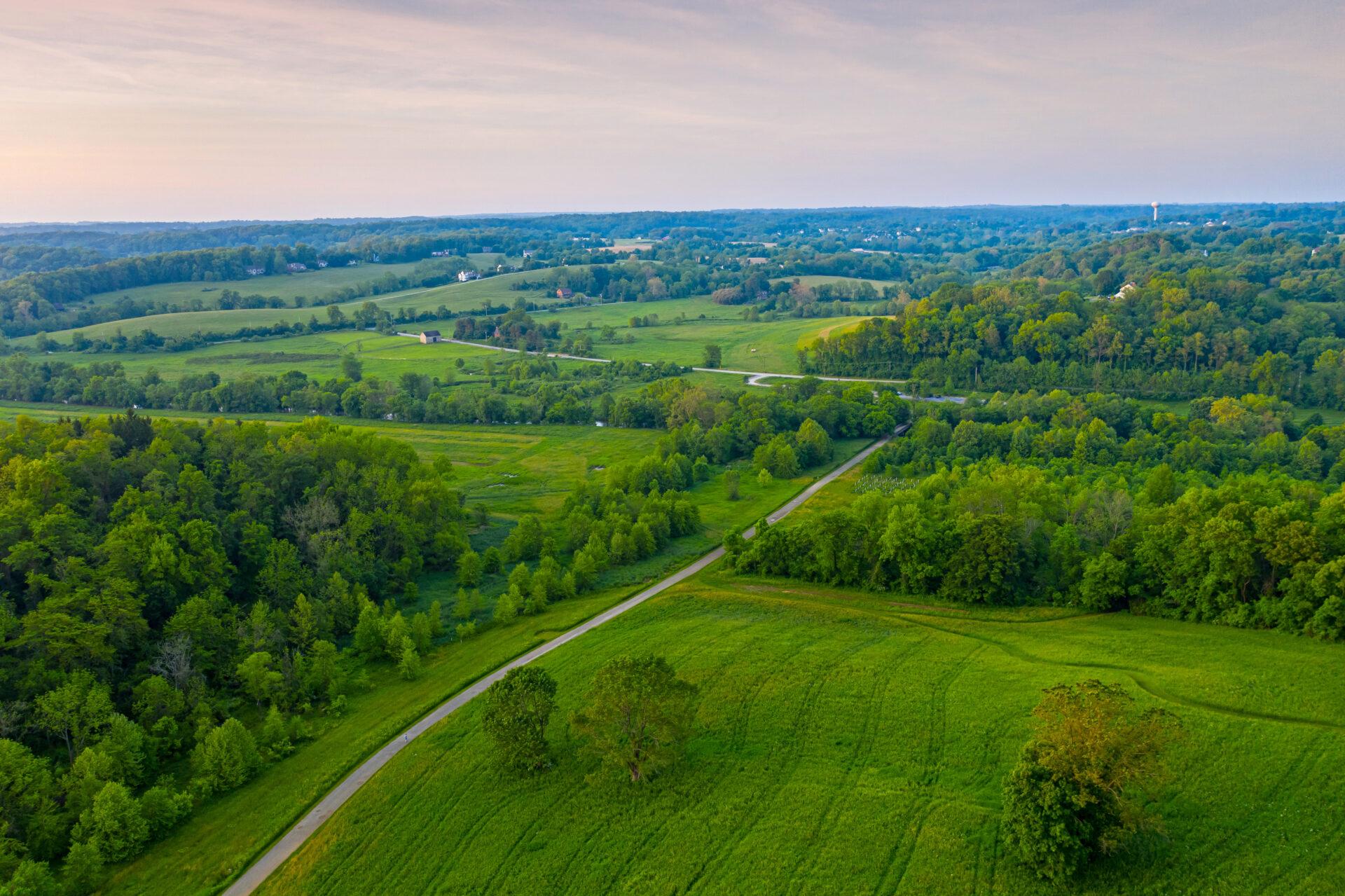 an aerial view of a vast landscape of lush, green trees and fields with a road running through the middle