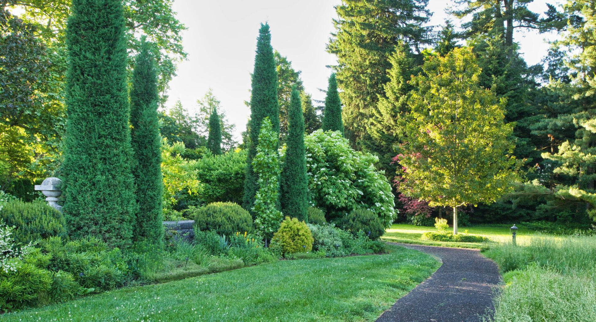 a paved path with shrubs and plantings on the left and grassy area on the right with trees in the background