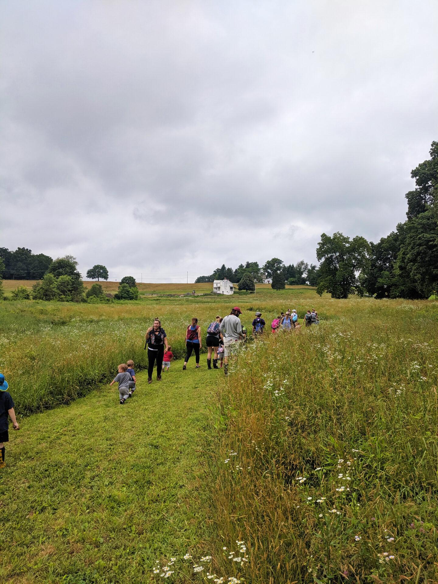 a group of people walking on a mown path through a meadow on a cloudy day