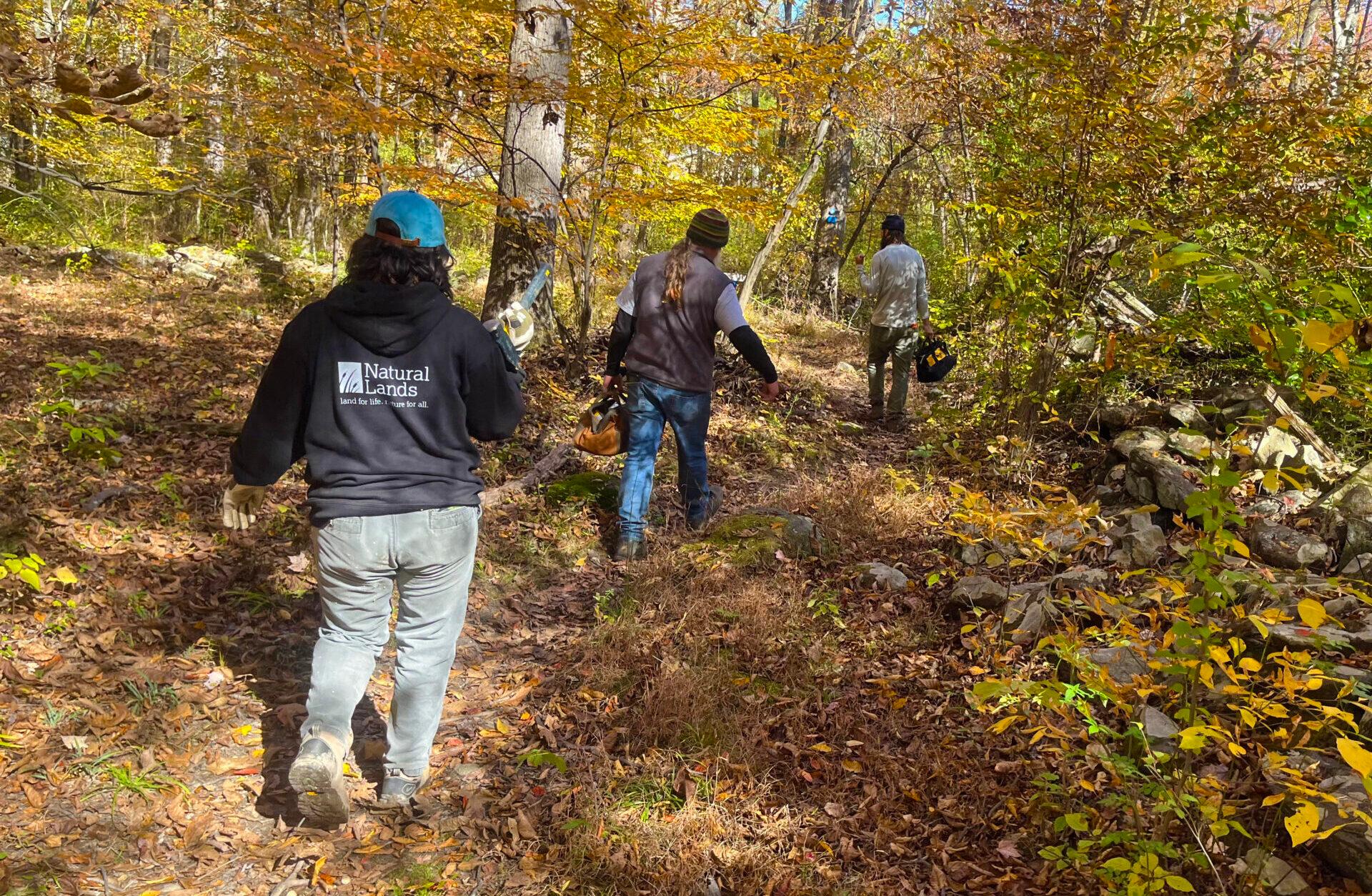 three people carrying tools walking down a path covered in leaves in a forest with trees with golden leaves