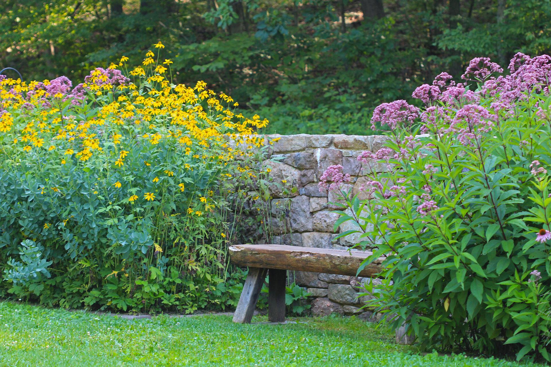 a stone wall with a bench and yellow and pink flowers