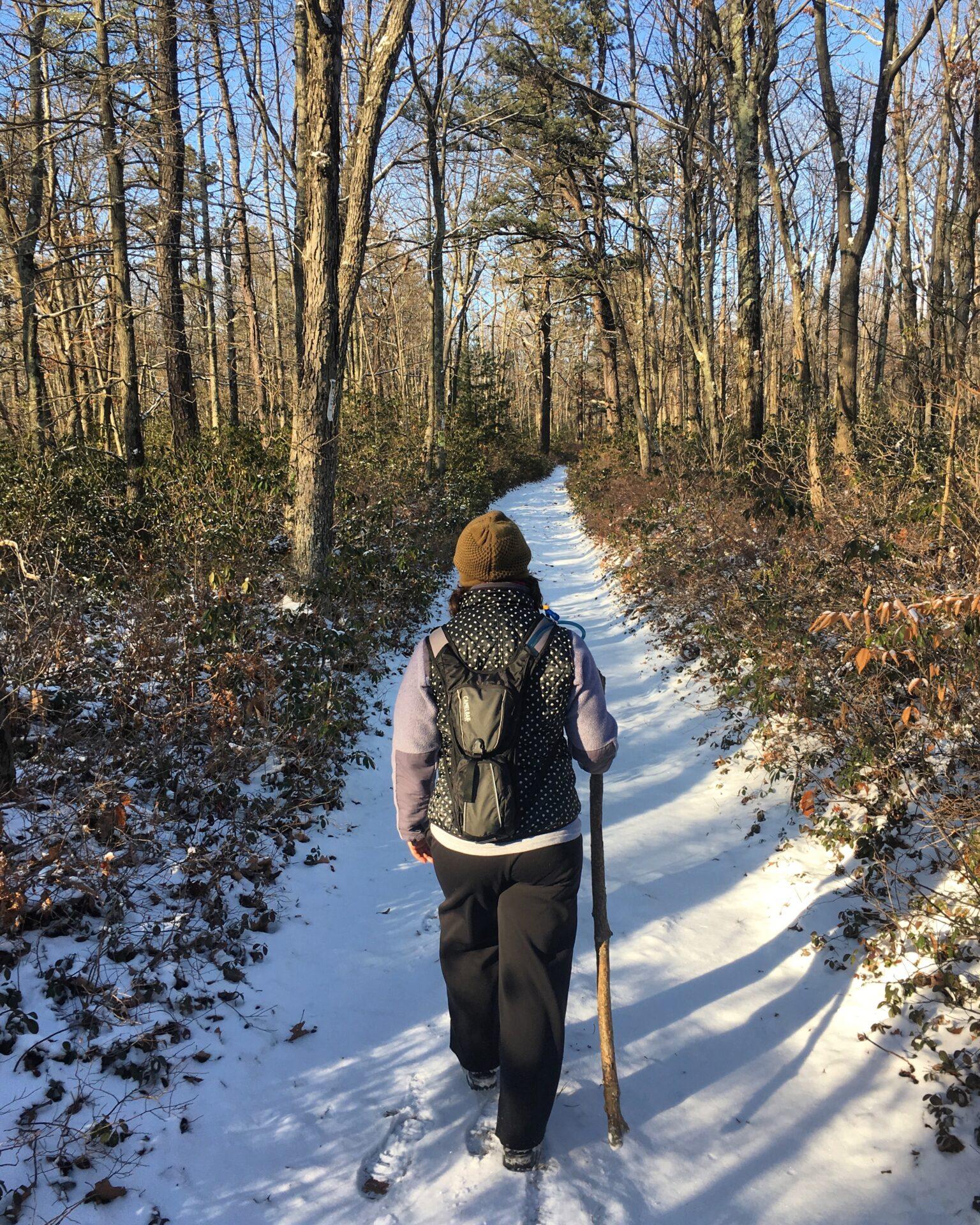 a person in winter clothes with a walking stick walks away from the camera down a snow-covered path in the woods with bare trees and a blue sky in the background.\