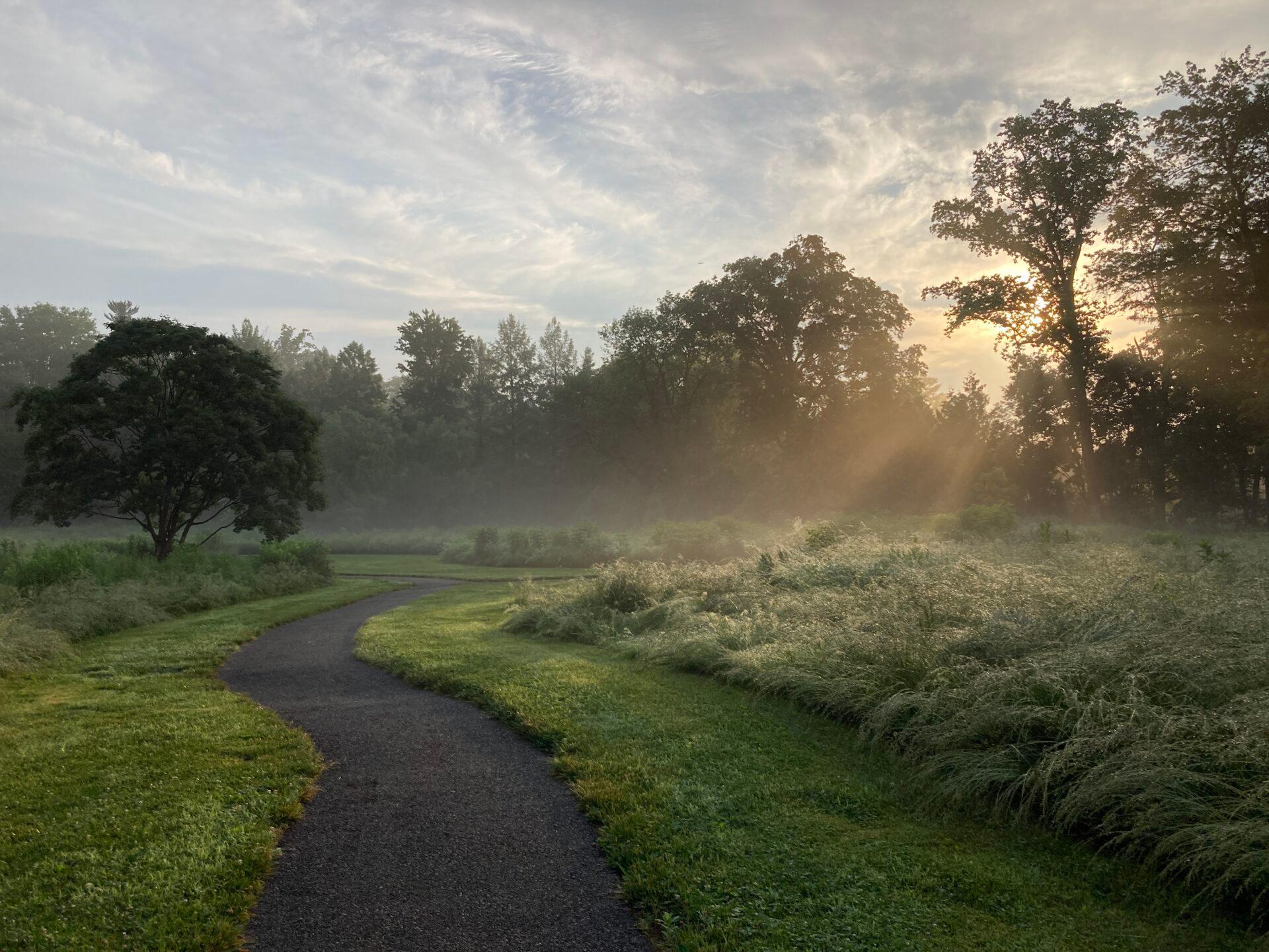 morning sunlight shining down on a meadow with a winding paved path