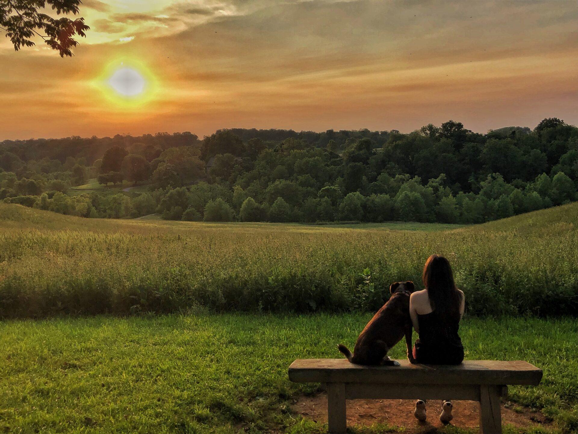 a landscape shot that shows from behind a person and a dog leaning against each other on a bench, facing a lush green field, watching an orange sunset.