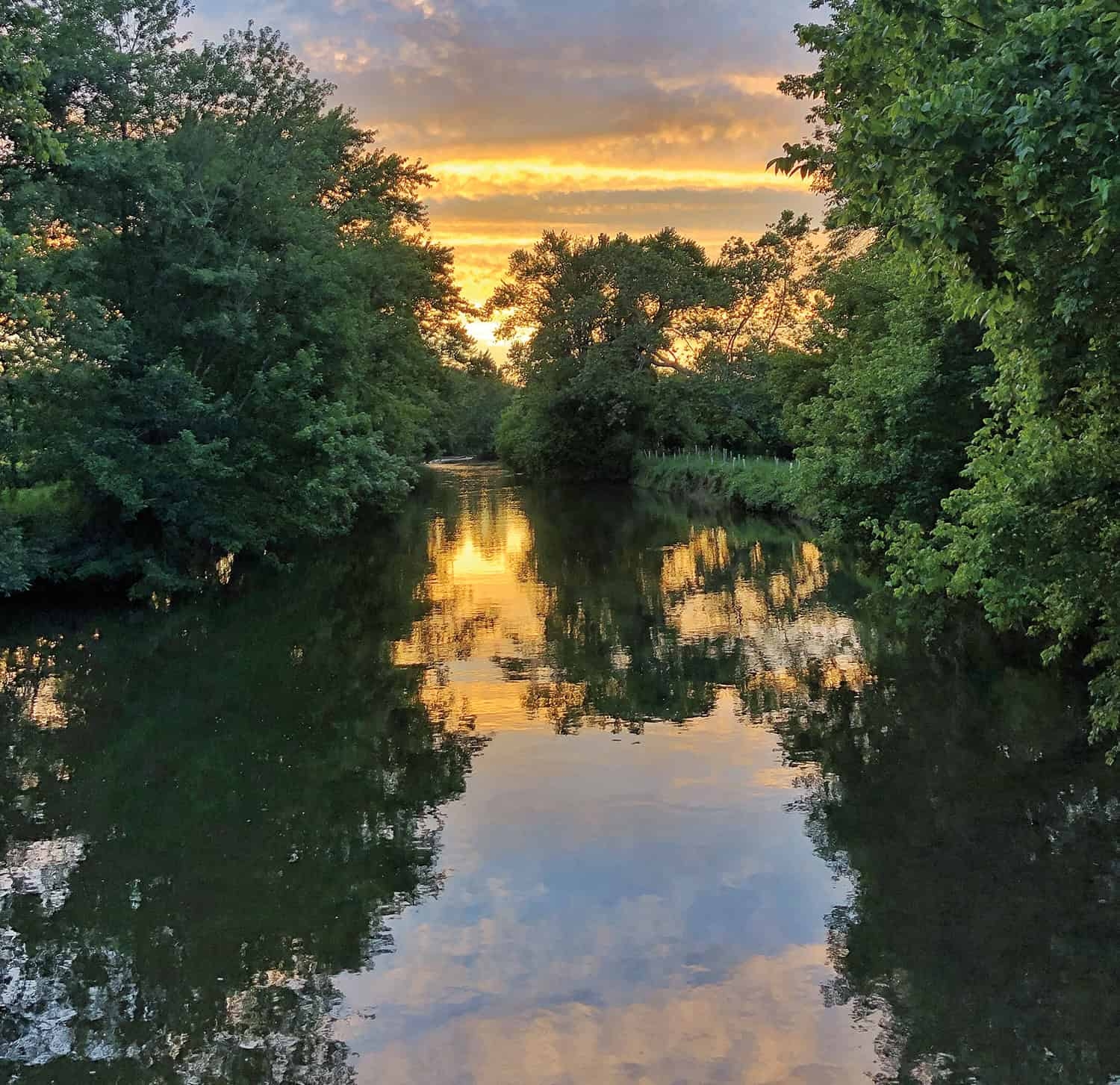 the sun setting over a vegetated body of water with trees lining both sides