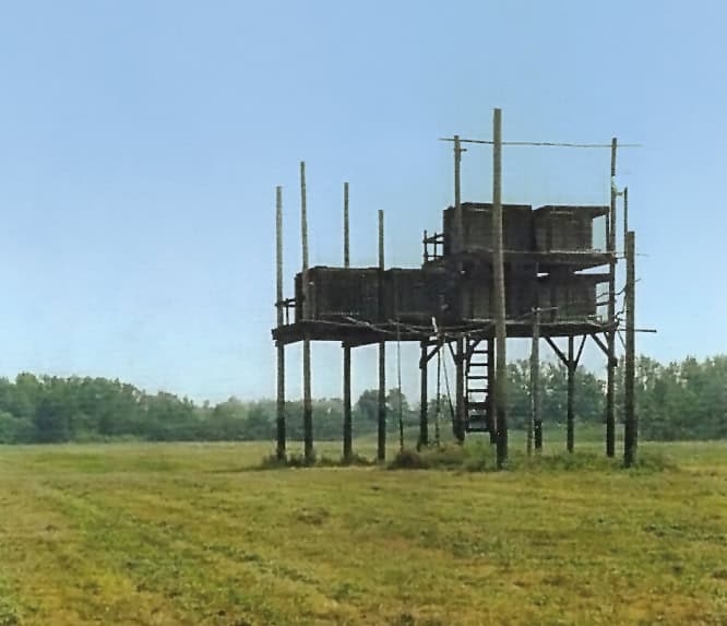 Scaffolding in a field