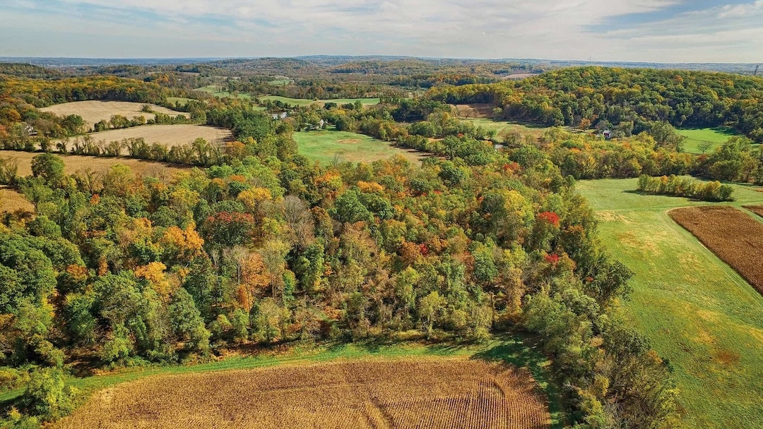 Aerial photo of various green and yellow forested areas divided by large grasslands and farm fields.