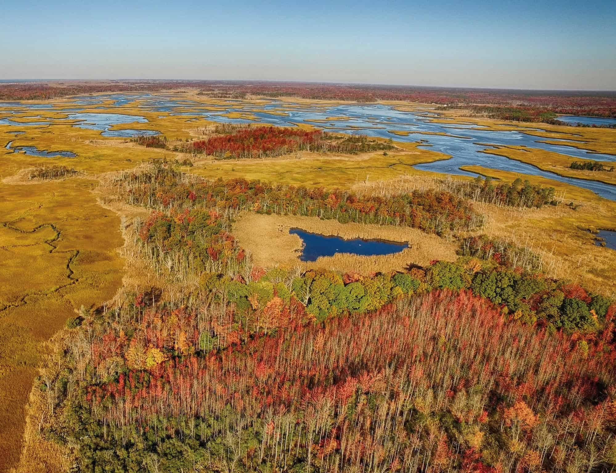 an aerial photo of a swirling wetland, some deciduous groves, and yellow grasslands during the fall. Most of the trees are bright red and yelllow