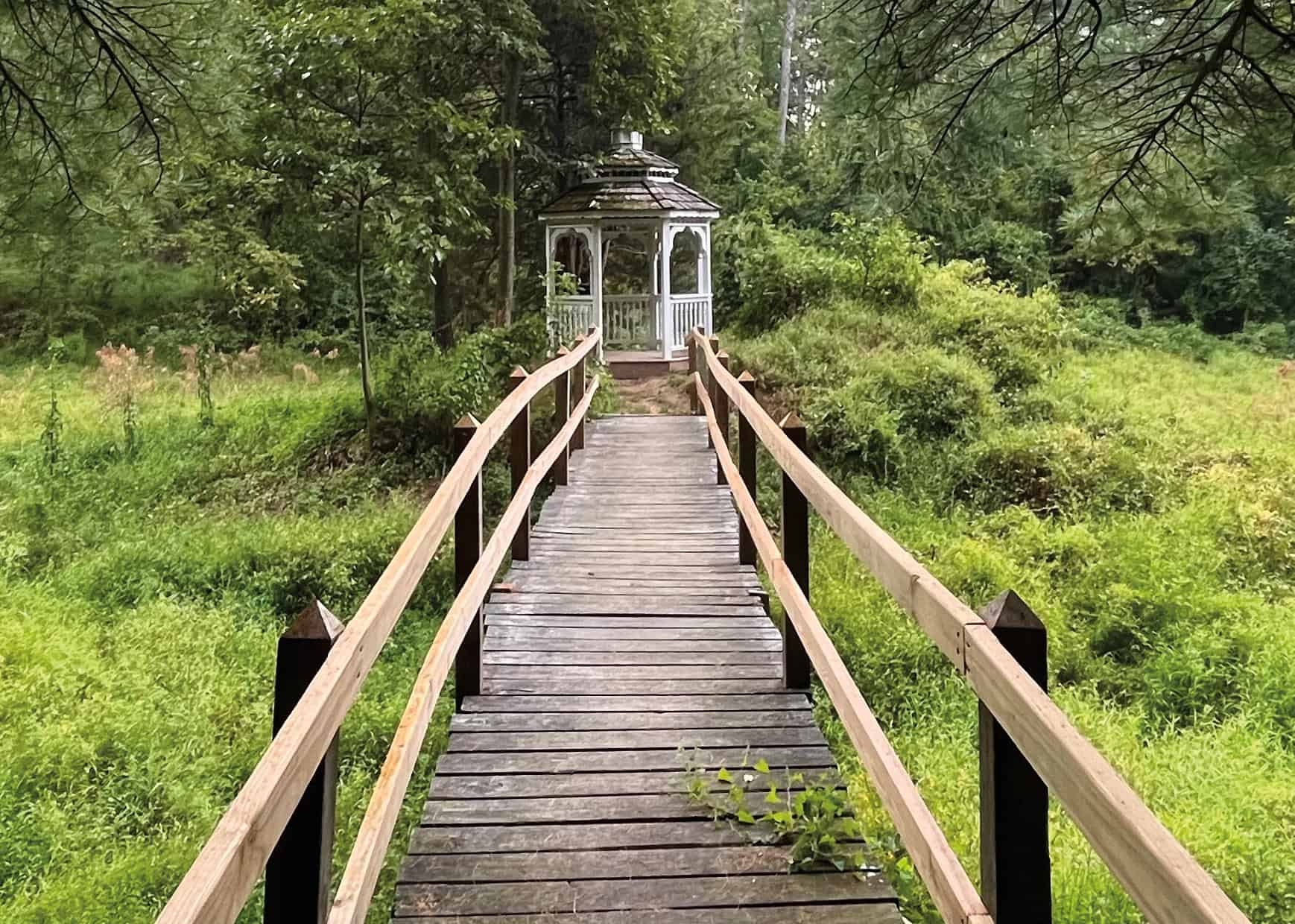 a long wooden pathway leading to a white pavilion in the middle of a field of woody shrubs