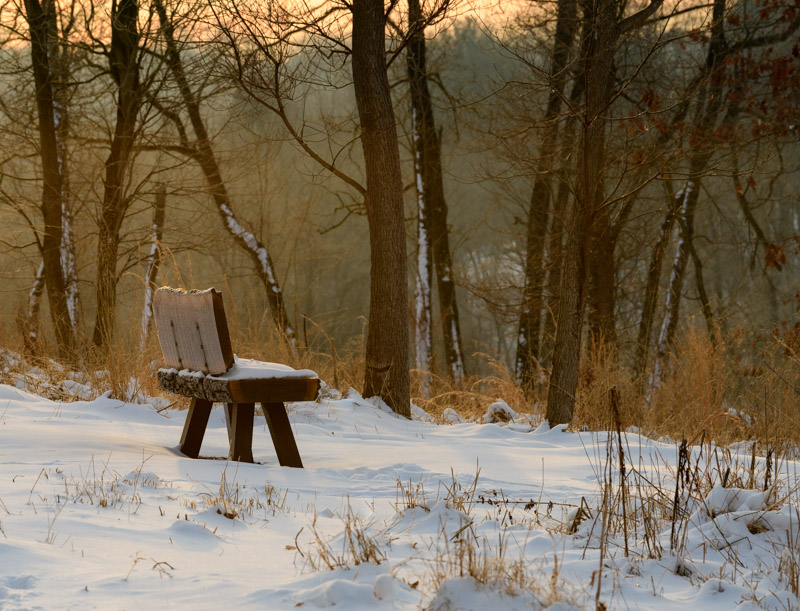 A snow covered wooden bench in front of a woodlands with snow on the ground