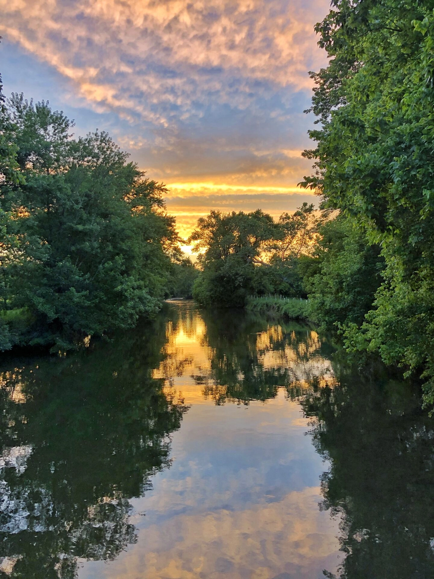 a sunset in the sky and reflected on the water of a creek that has trees on both sides