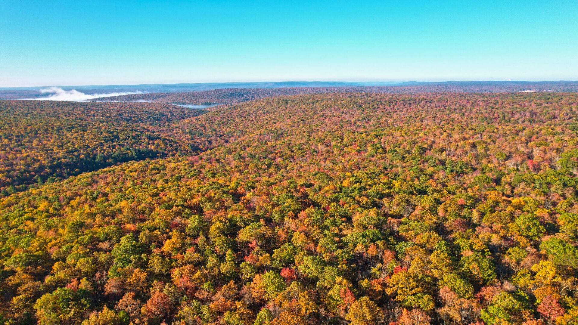 an aerial view of a forest full of fall color in the Pocono mountains, with some mist and a light blue sky